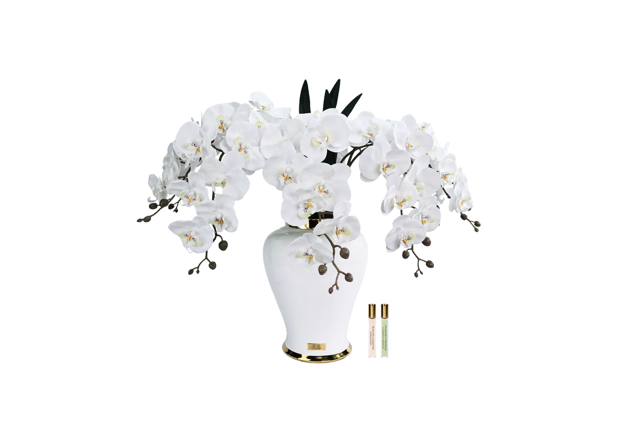 White Imperial Orchid in a white vase home fragrance