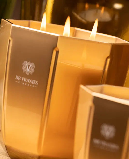 Gold Oud Nobile Candle 500g