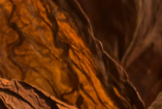 Onyx Rosa Tabacco Candle 500g