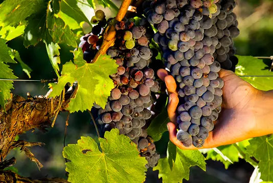 Tourmaline Rosso Nobile Candle 500g