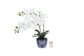 White double orchid in a blue vase diffuser
