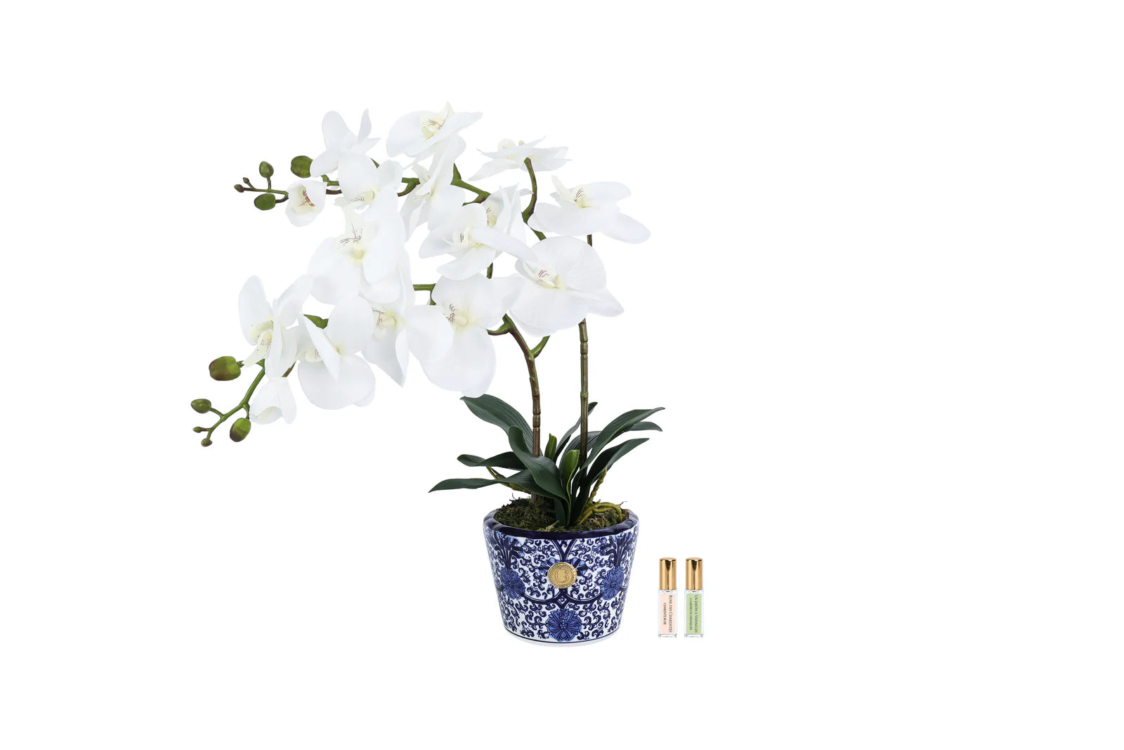 White double orchid in a blue vase diffuser
