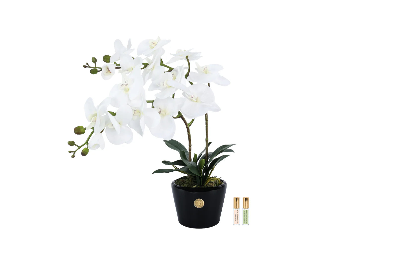 White double orchid in a black vase diffuser