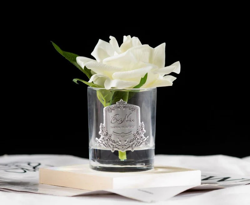 Ivory single rose in a clear glass diffuser