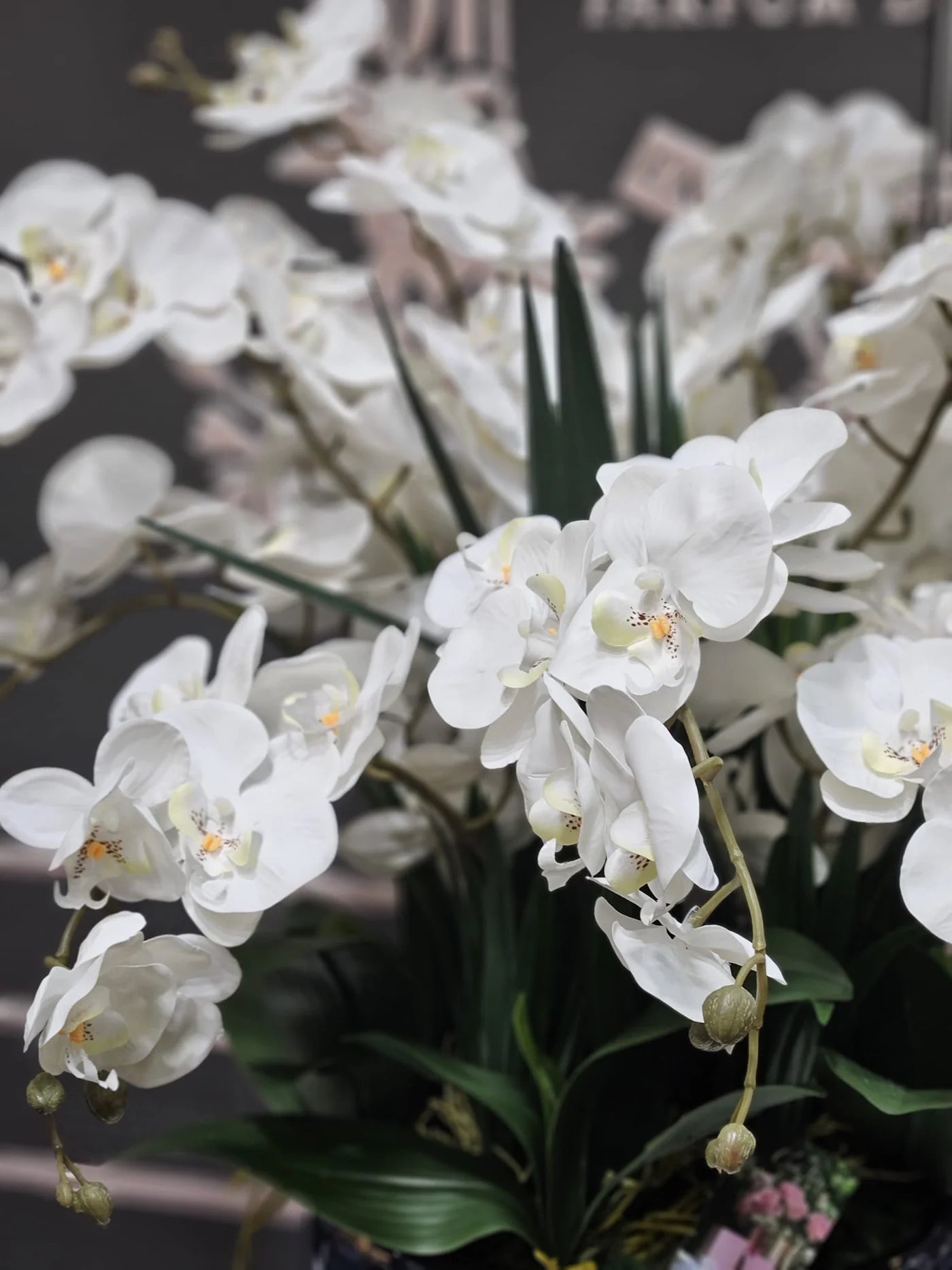 White giant orchid bouquet in a black vase flower difuser