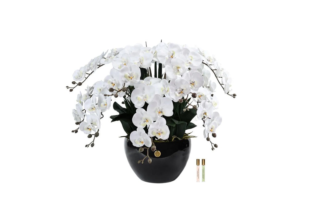 White giant orchid bouquet in a black vase flower difuser